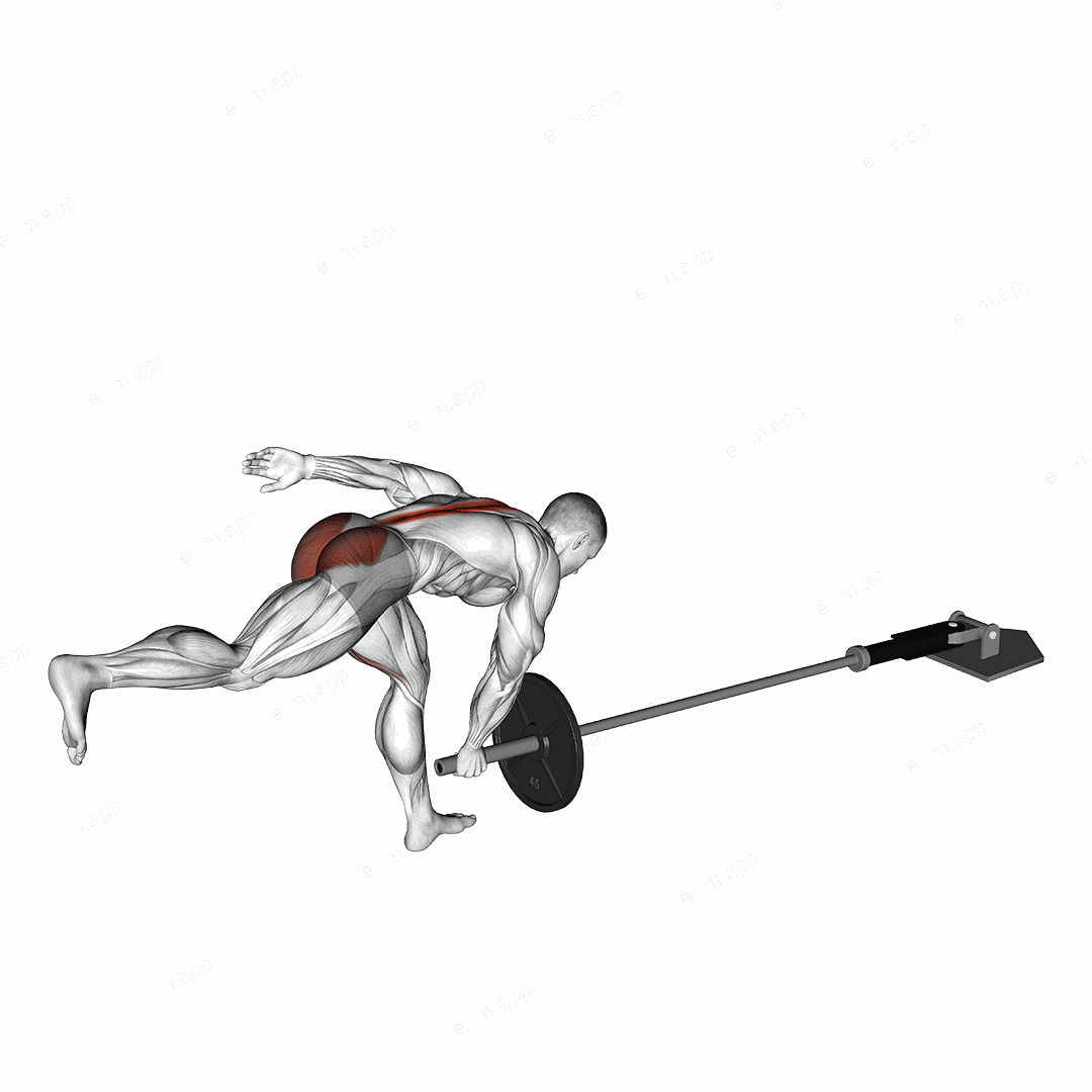 Landmine Single Leg Landmine RDL exercise targeting Hips and Erector Spinae