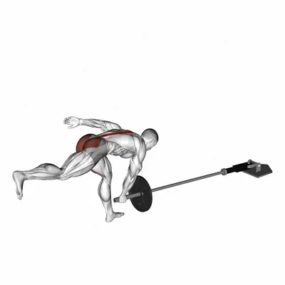 Landmine Single Leg Landmine RDL exercise targeting Hips and Erector Spinae