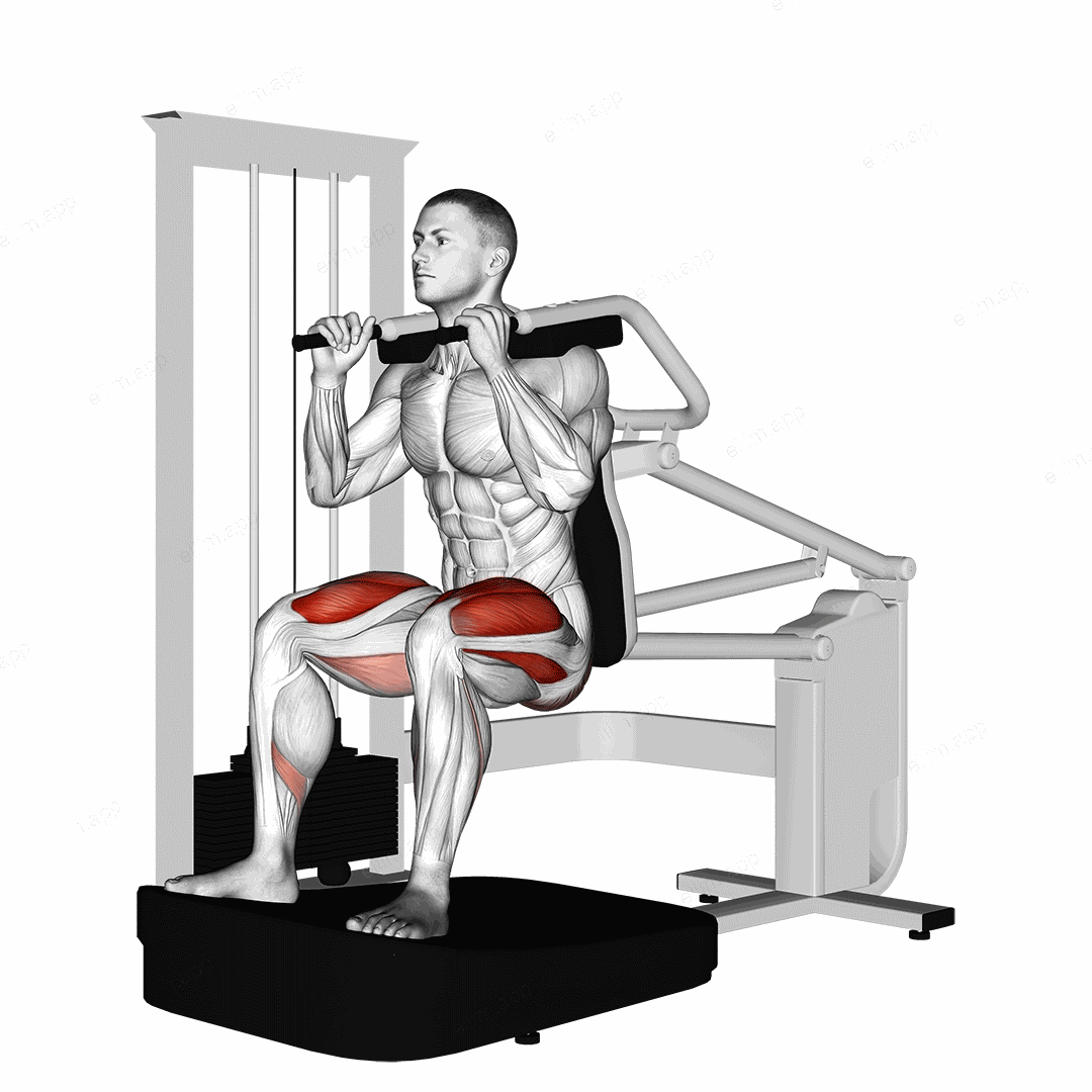 Lever Chair Squat exercise targeting Thighs and Gluteus Maximus