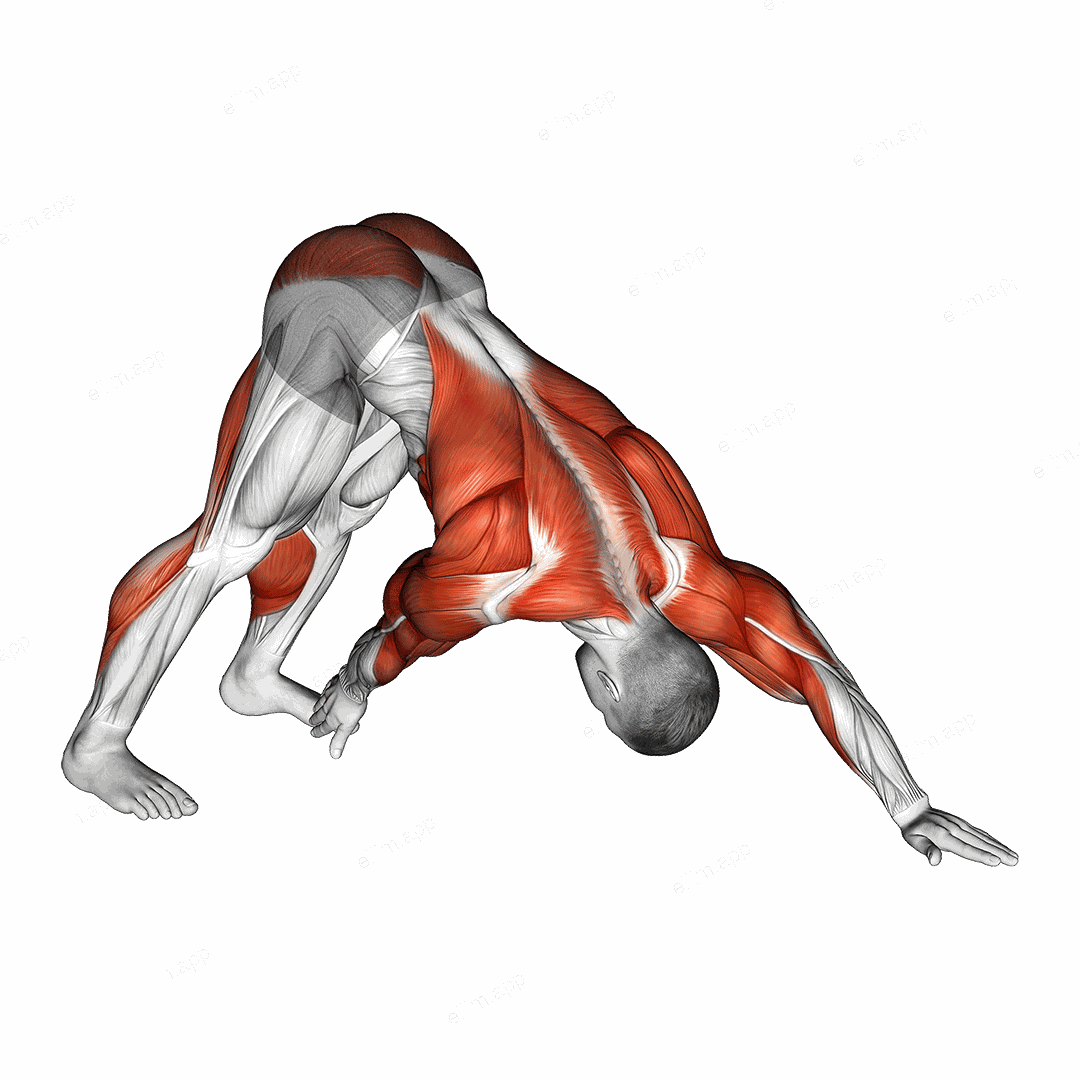 Downward Facing Dog Toe Touch exercise targeting Back and Hips