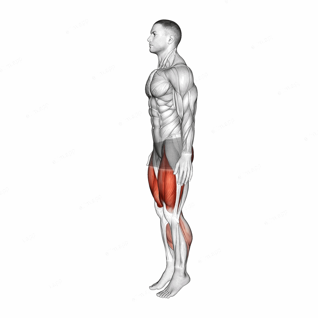 Deep Knee Bend exercise targeting Thighs