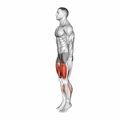 Deep Knee Bend exercise targeting Thighs
