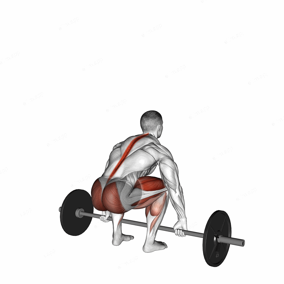 Barbell Mixed grip Deadlift exercise targeting Hips