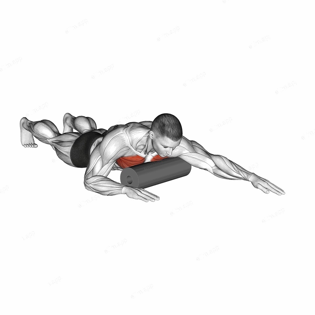 Roll Chest Lying on Floor exercise targeting Chest
