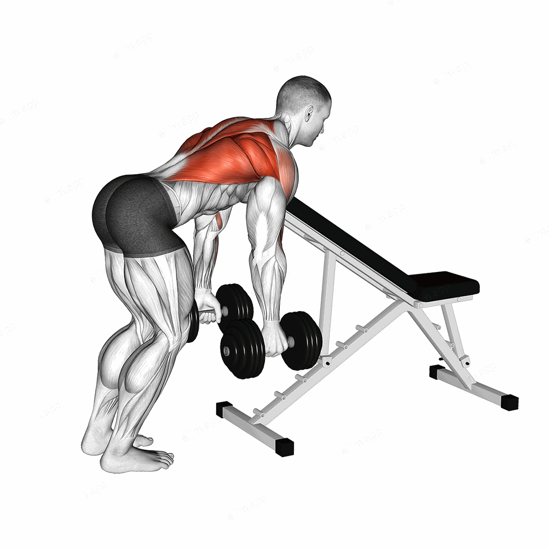 Dumbbell Bent Over Row with Chest Support exercise targeting Back