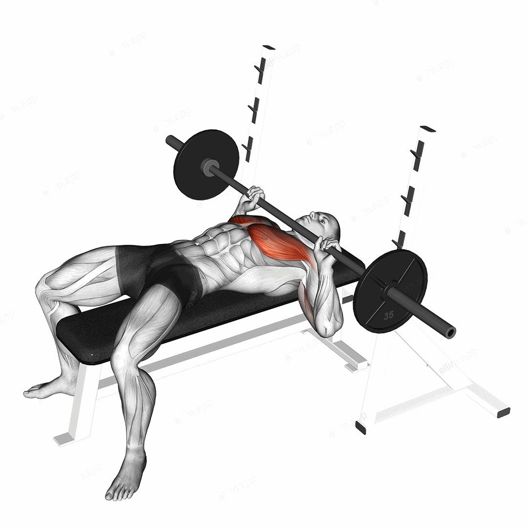 Barbell Guillotine Bench Press exercise targeting Chest and Pectoralis Major Sternal Head