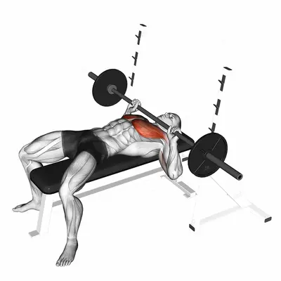 Barbell Guillotine Bench Press exercise targeting Chest and Pectoralis Major Sternal Head