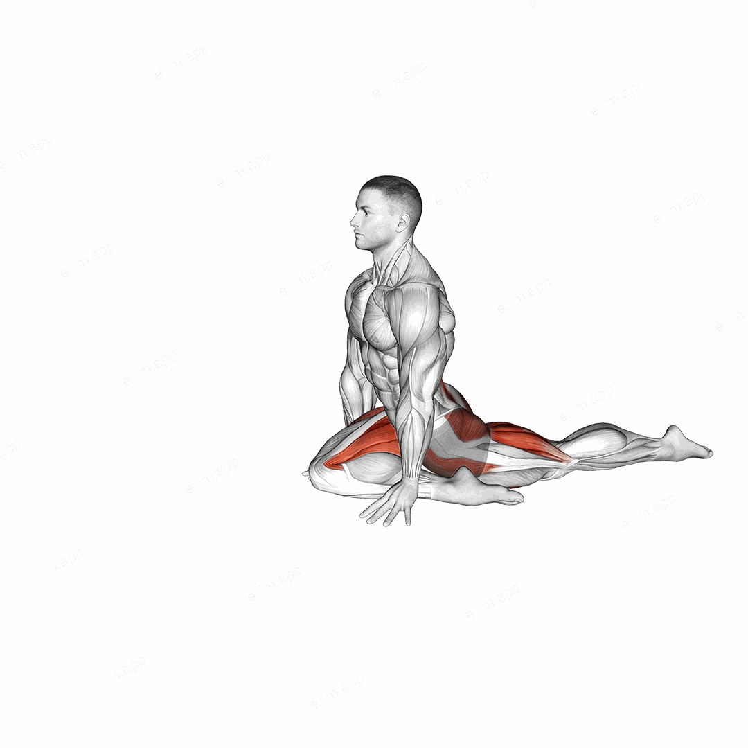 Pigeon Hip Stretch exercise targeting Hips and Adductor Brevis