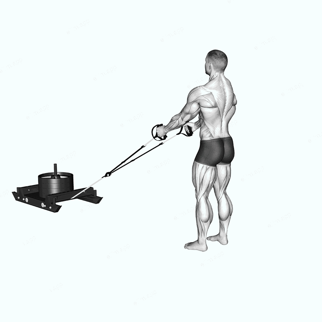 Power Sled Rear Lunge Row exercise targeting Back