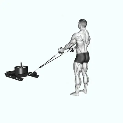 Power Sled Rear Lunge Row exercise targeting Back