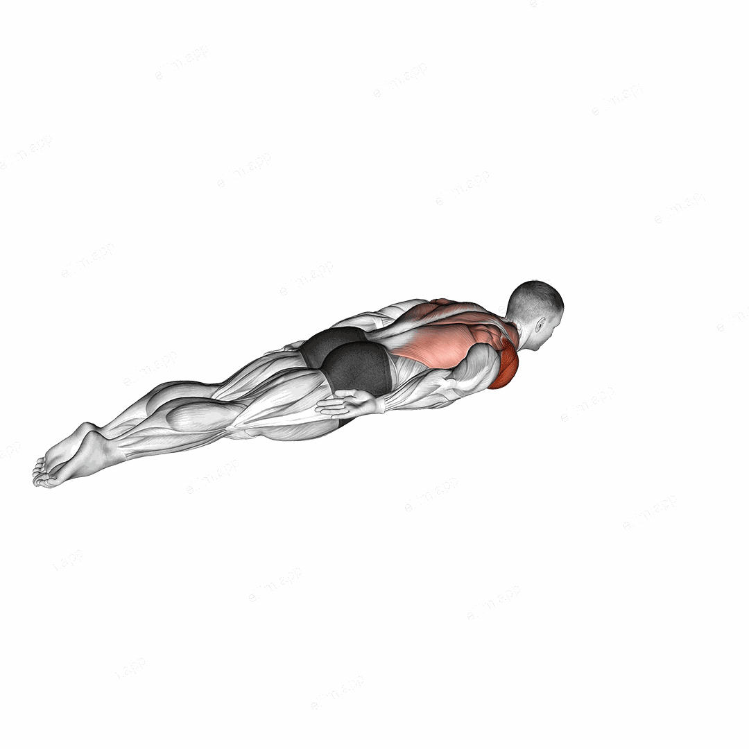 Lying Around the World exercise targeting Shoulders and Deltoid Lateral