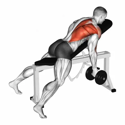 Dumbbell Reverse Grip Incline Bench One Arm Row exercise targeting Back and Infraspinatus