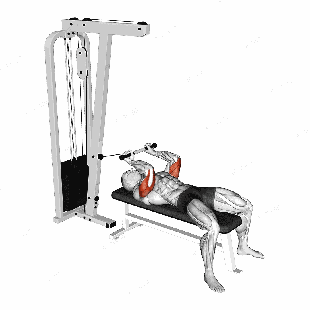 Cable Lying Triceps Extension exercise targeting Upper Arms and Triceps Brachii
