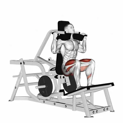 Lever Squat (plate loaded) exercise targeting Thighs and Gluteus Maximus