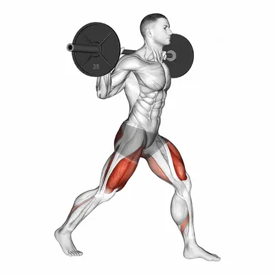 Barbell Split Squat exercise targeting Gluteus Maximus and Quadriceps