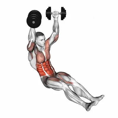 Dumbbell Seated Military Hold Alternate Leg Raise on Floor exercise targeting Waist