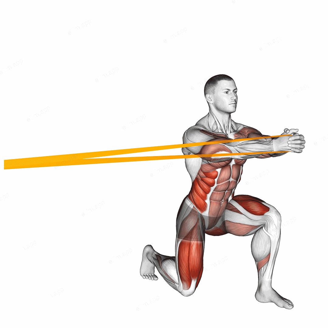 Resistance Band Split Squat with Horizontal Pallof Hold exercise targeting Waist