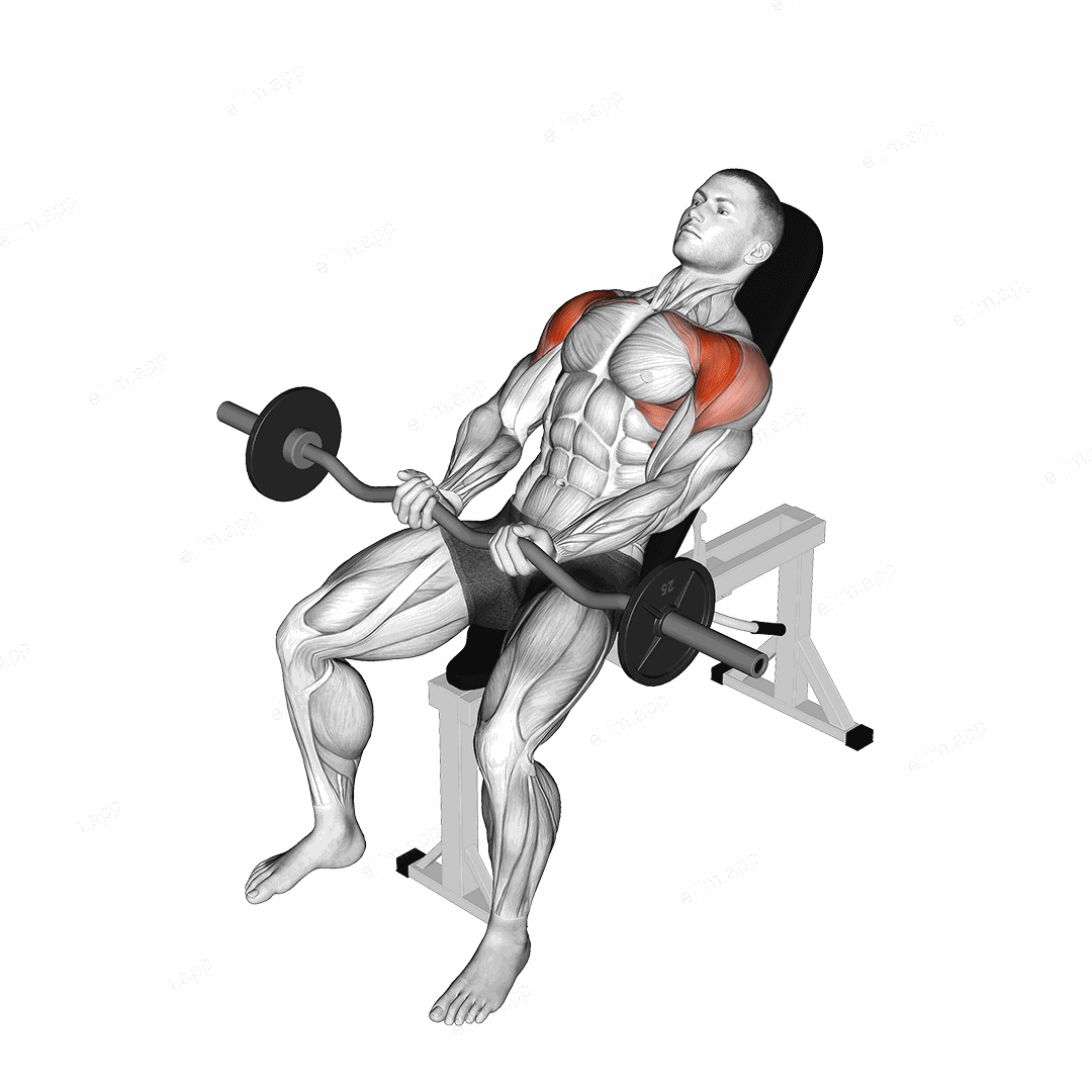 EZ bar Incline Front Raise exercise targeting Shoulders