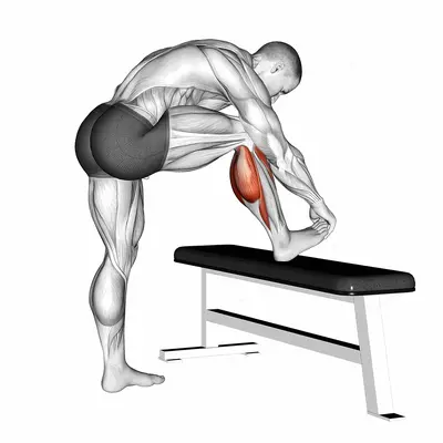 Standing Gastrocnemius Calf Stretch exercise targeting Calves and Gastrocnemius