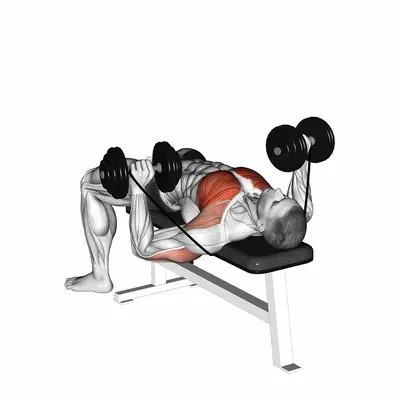 Dumbbell Banded Bench Press exercise targeting Chest