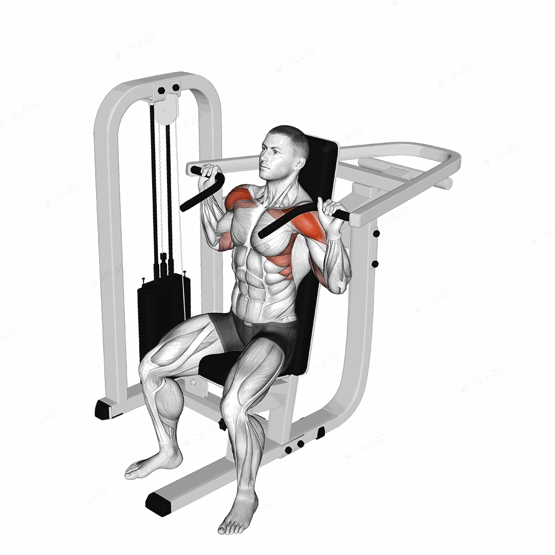 Lever Seated Shoulder Press exercise targeting Shoulders and Deltoid Anterior