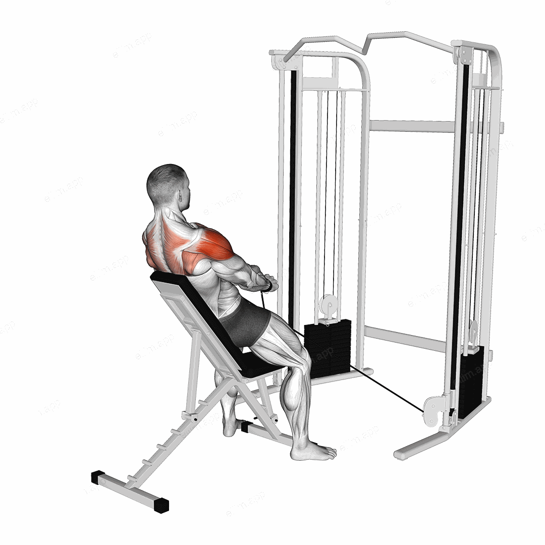 Cable Incline Y-Raise Wrist Straps with Back Support exercise targeting Shoulders