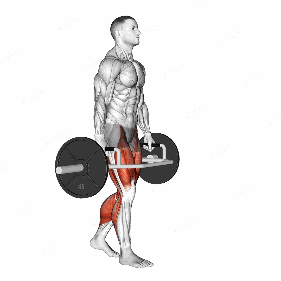 Trap Bar Farmers Carry exercise targeting Thighs