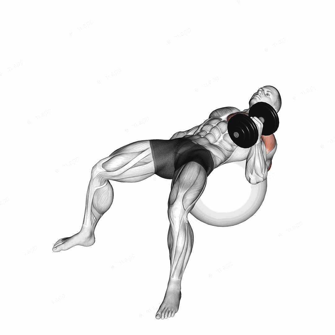 Dumbbell One Arm Hammer Press on Exercise Ball exercise targeting Upper Arms