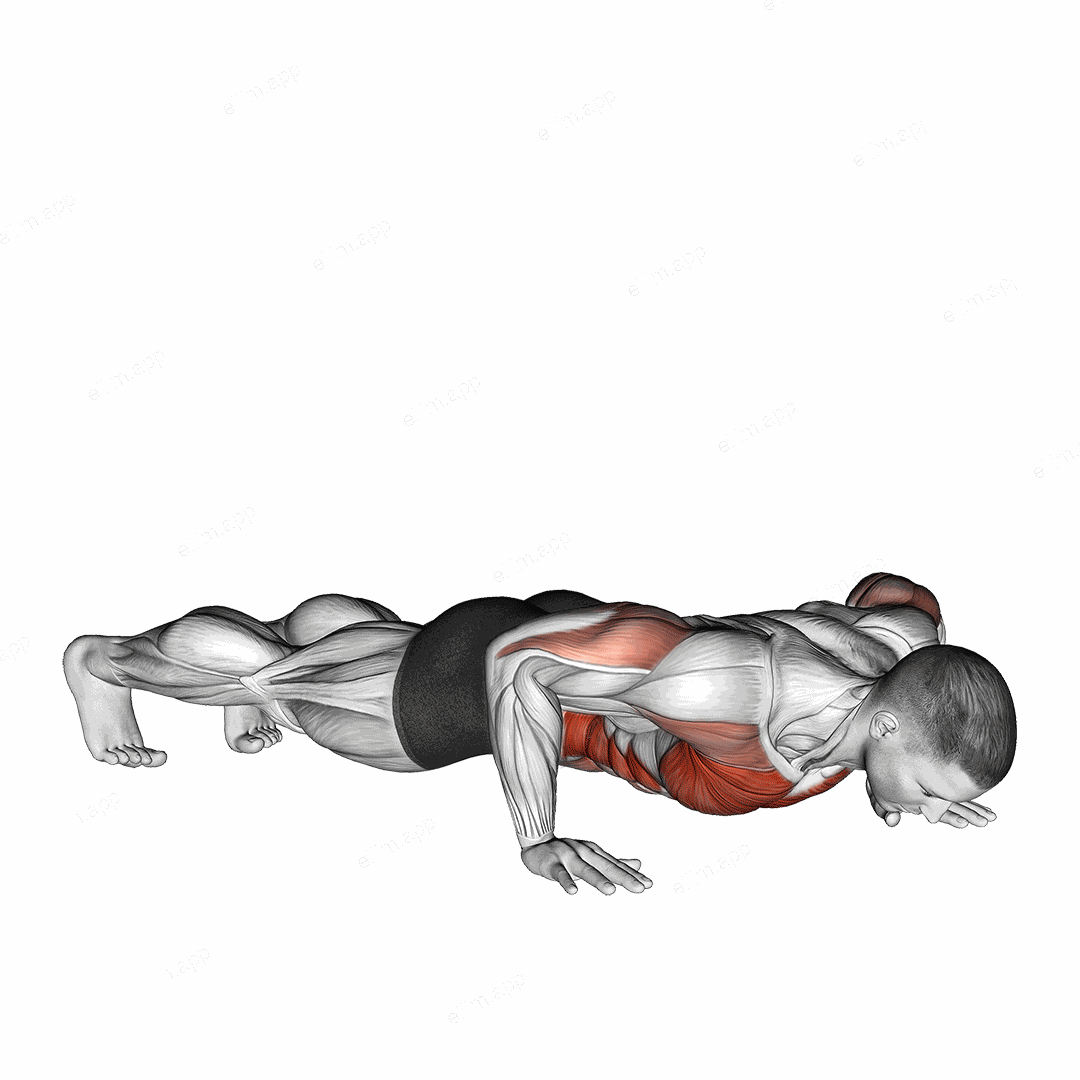 Rotational Push Up exercise targeting Chest and Waist