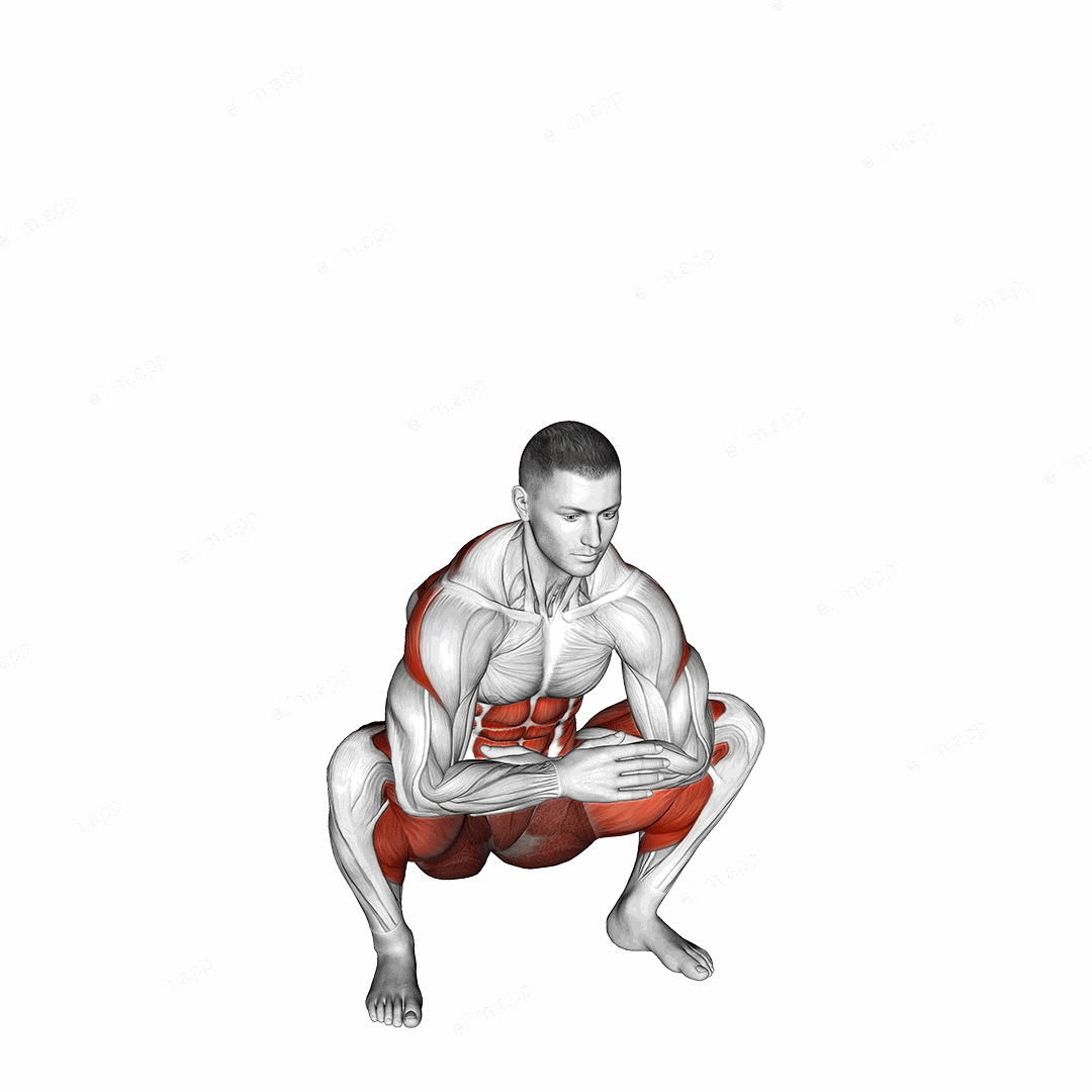 Squat Mobility Twist exercise targeting Waist