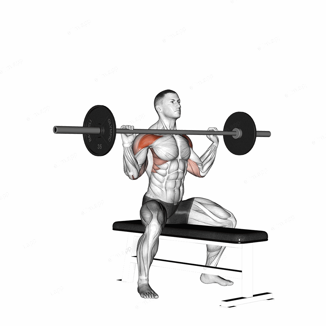 Barbell Seated Overhead Press exercise targeting Shoulders and Deltoid Anterior