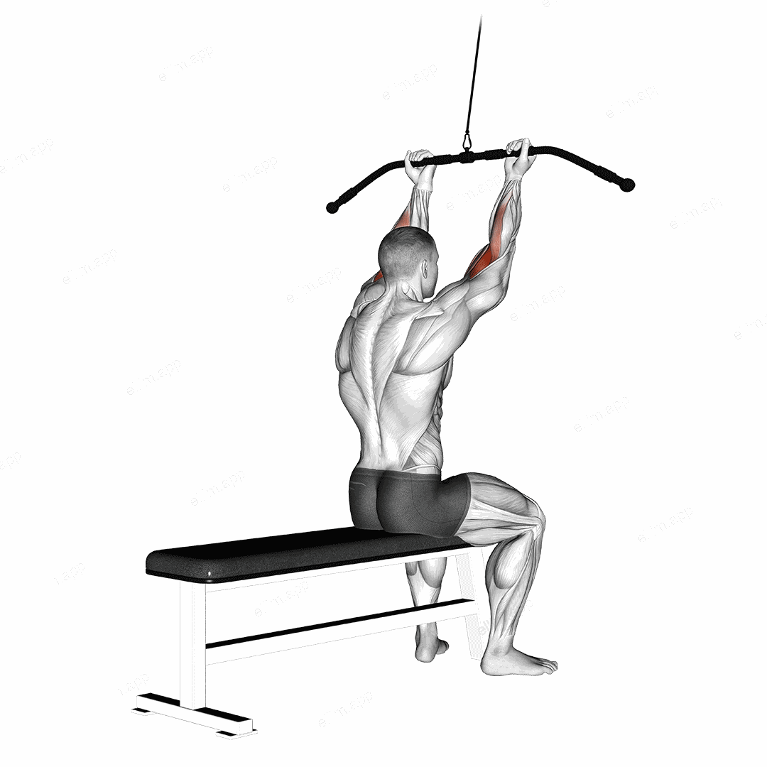 Cable Pulldown Bicep Curl exercise targeting Upper Arms