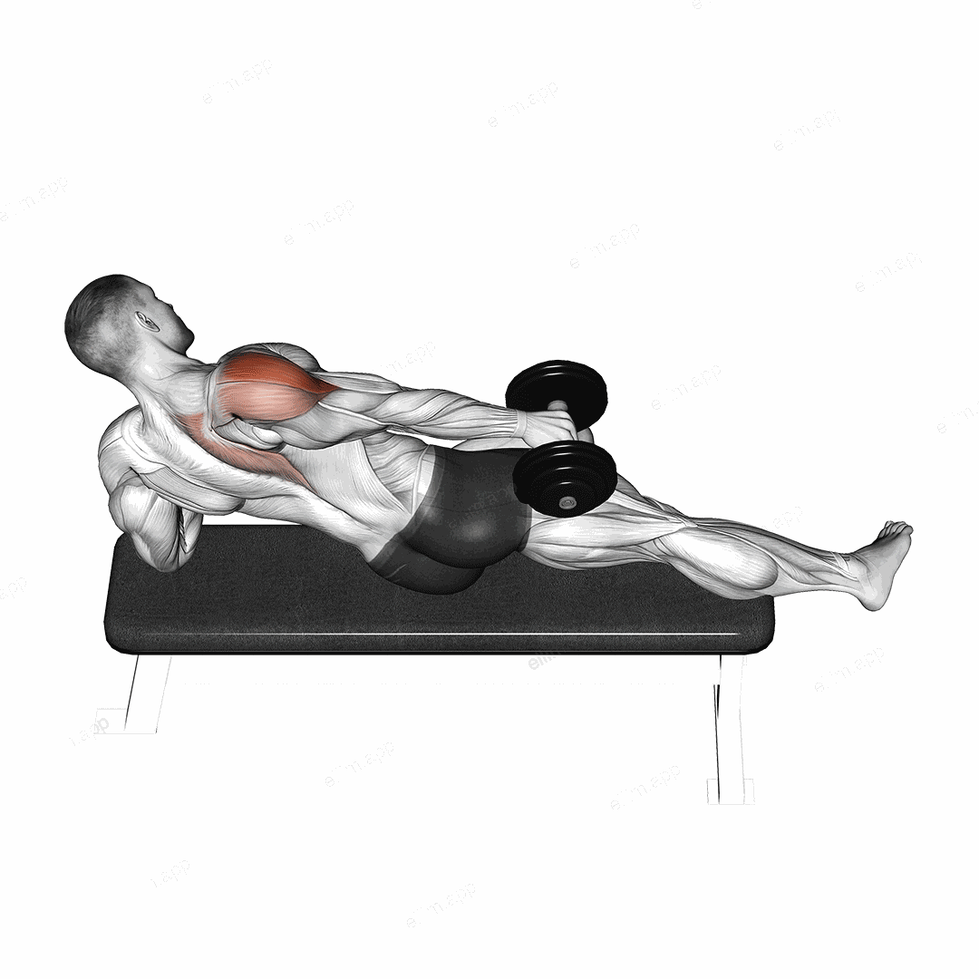 Dumbbell Side Lying One Hand Raise exercise targeting Shoulders and Deltoid Lateral