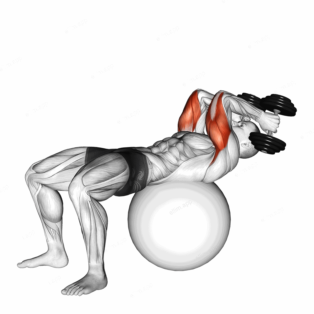 Exercise Ball Supine Triceps Extension exercise targeting Upper Arms