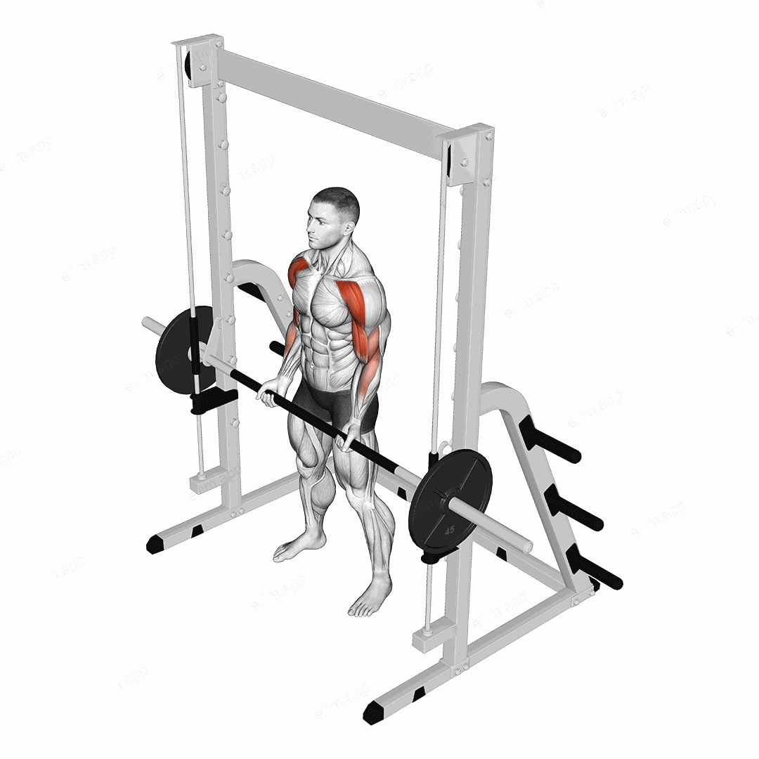 Smith Drag Curl exercise targeting Upper Arms