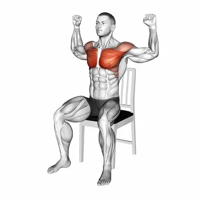 Seated Pec Dec on a Chair exercise targeting Chest