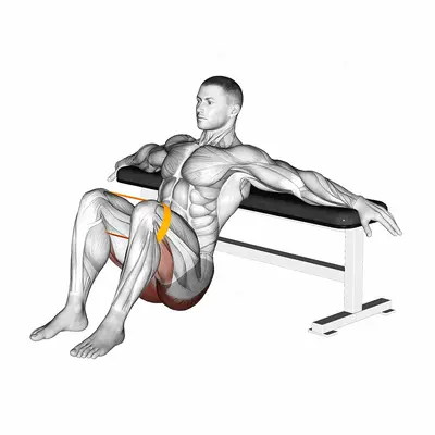Resistance Band Hip Thrusts exercise targeting Hips and Gluteus Maximus