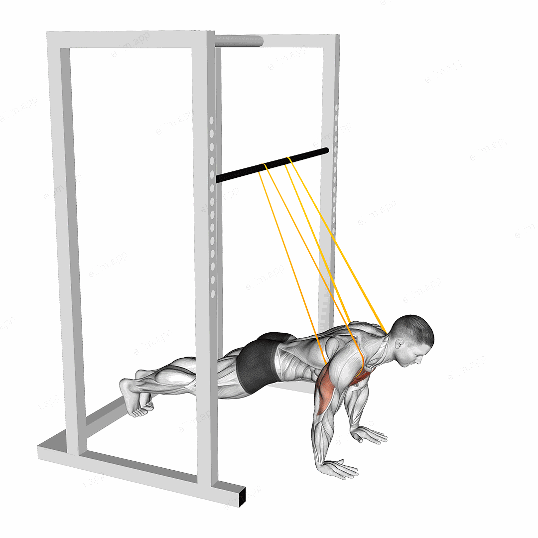 Resistance Band Assisted Push-up exercise targeting Chest and Pectoralis Major Clavicular Head