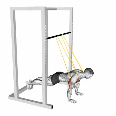 Resistance Band Assisted Push-up exercise targeting Chest and Pectoralis Major Clavicular Head