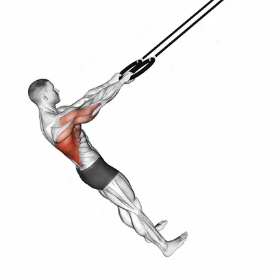 Ring Pullover exercise targeting Back