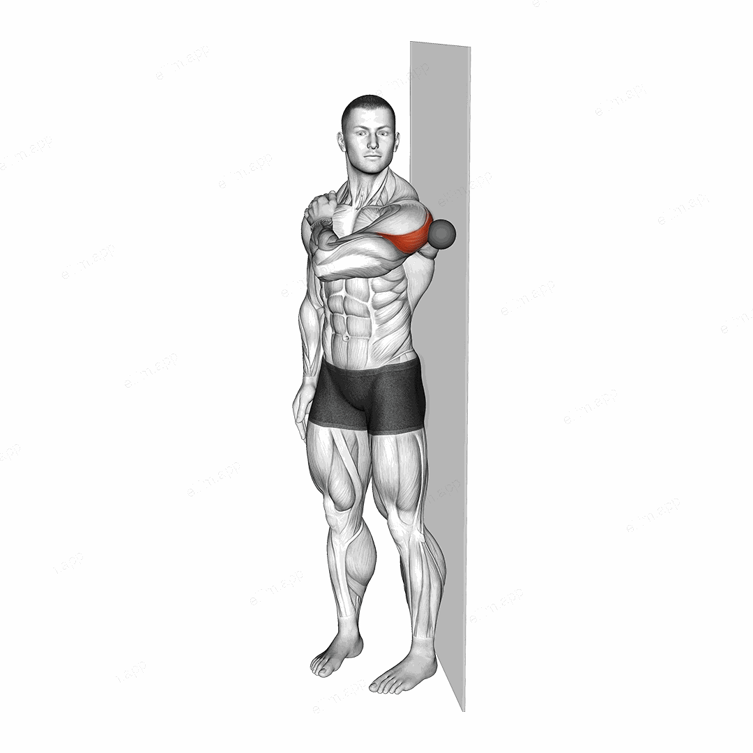 Roll Ball Deltoid Posterior exercise targeting Shoulders and Deltoid Posterior