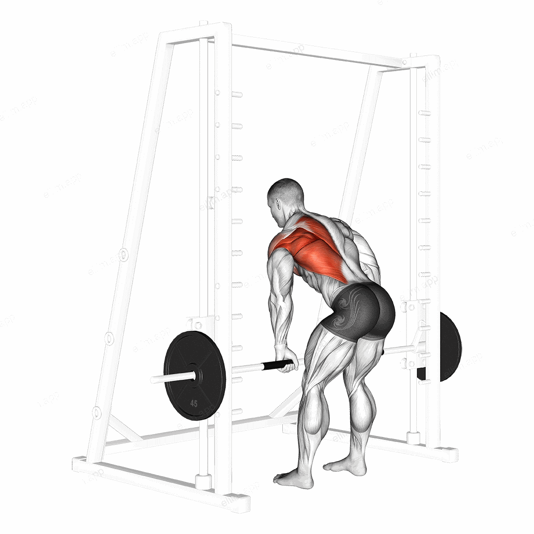 Smith One Arm Row exercise targeting Back and Infraspinatus