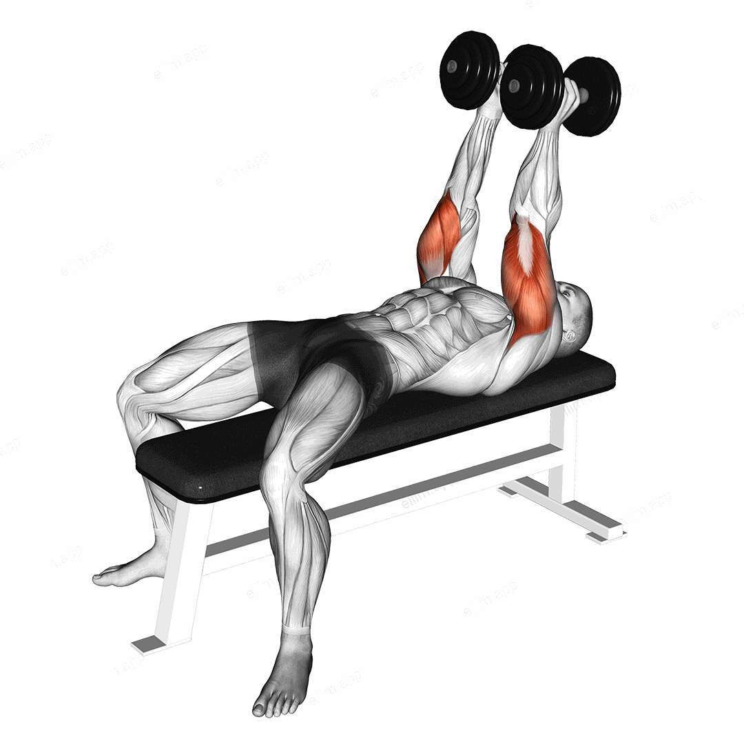 Dumbbell Neutral Grip Bench Press exercise targeting Upper Arms and Triceps Brachii