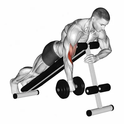 Dumbbell One Arm Reverse Spider Curl exercise targeting Upper Arms