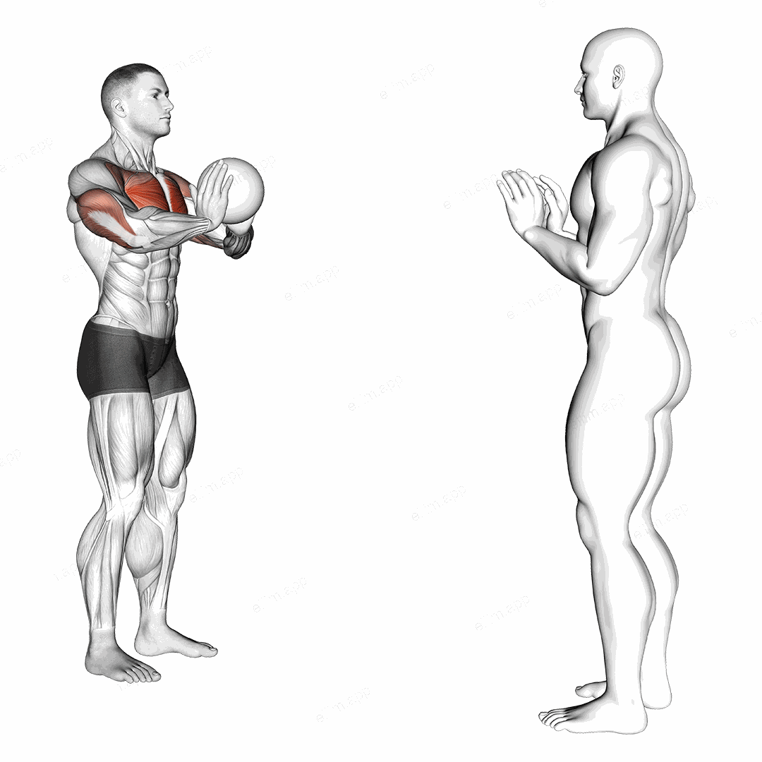 Medicine Ball Chest Pass exercise targeting Chest and Pectoralis Major Sternal Head