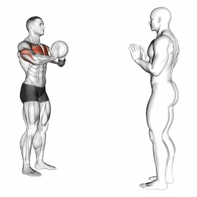 Medicine Ball Chest Pass exercise targeting Chest and Pectoralis Major Sternal Head