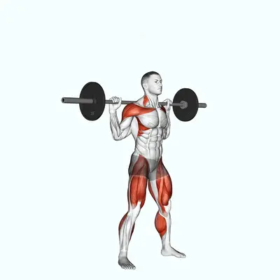 Barbell Snatch Balance exercise targeting Weightlifting and Adductor Magnus