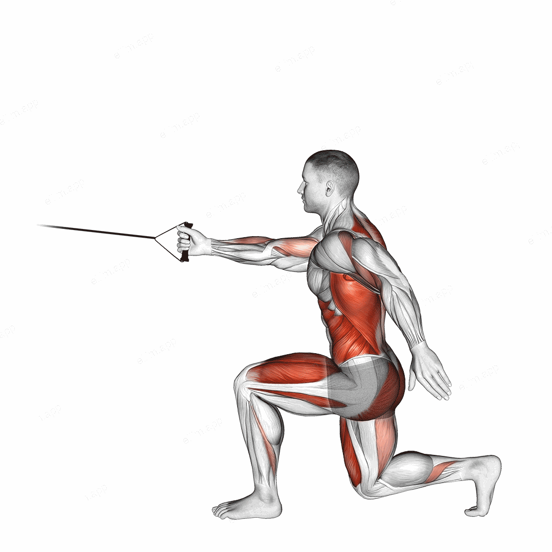 Band High Knee Lunge with Single Arm Row exercise targeting Back and Hips