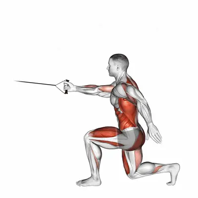 Band High Knee Lunge with Single Arm Row exercise targeting Back and Hips