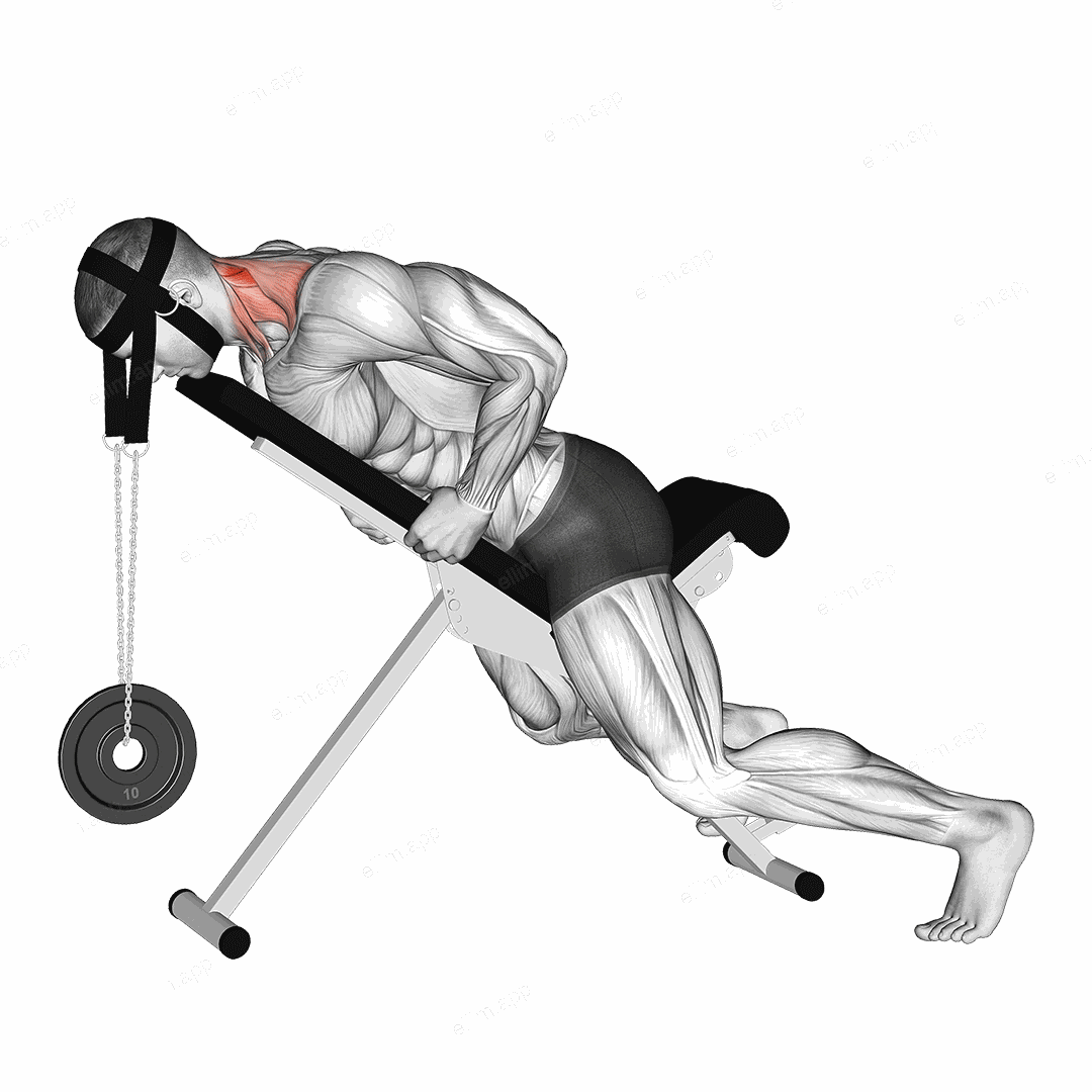 Weighted Lying Neck Extension (with head harness) exercise targeting Neck